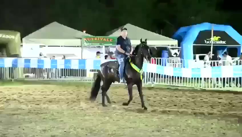 Amuleto da Boa Nova