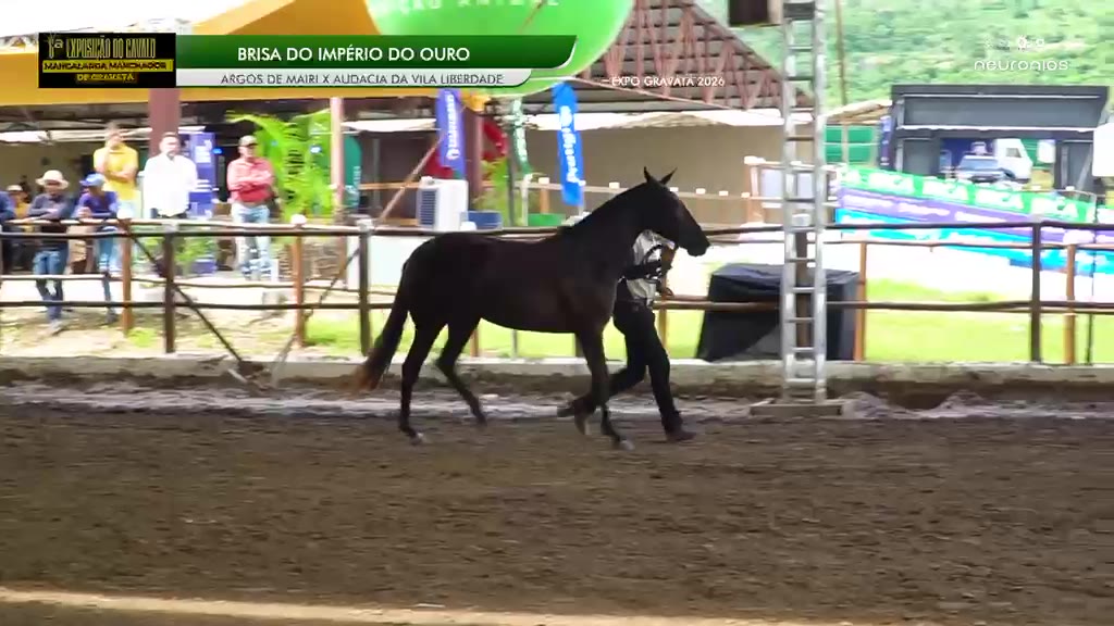 Brisa do Império do Ouro