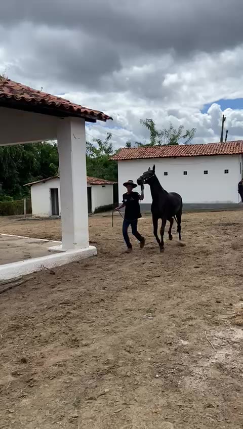Ucrânia Cruz Divina