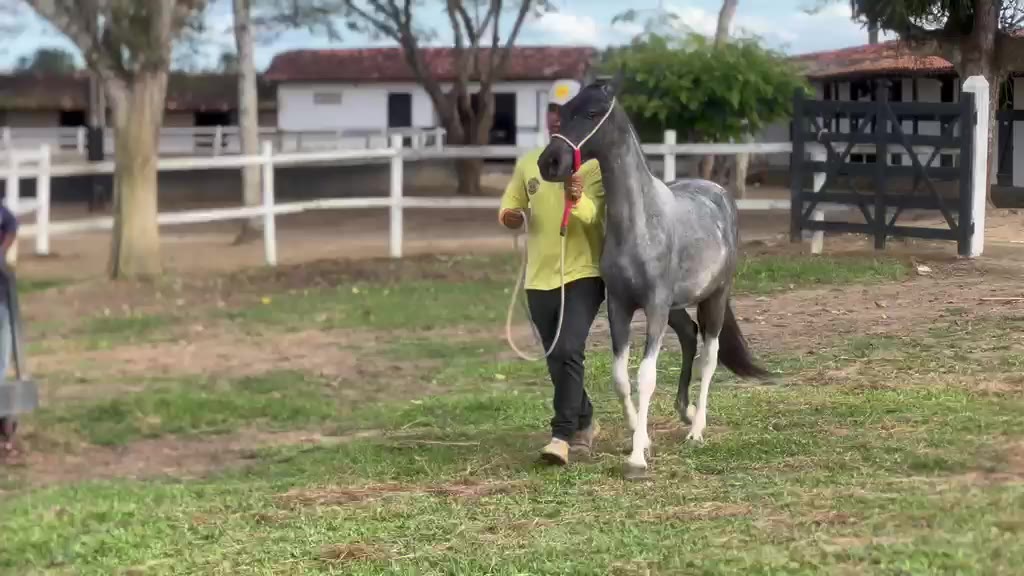 Unaí Cruz Divina